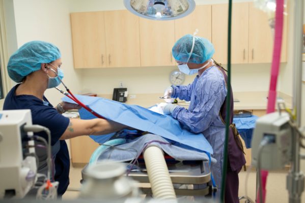 Soft tissue surgery for pets at Oconomowoc Animal Hospital