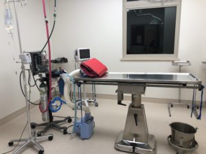 Surgery suite at Oconomowoc Animal Hospital