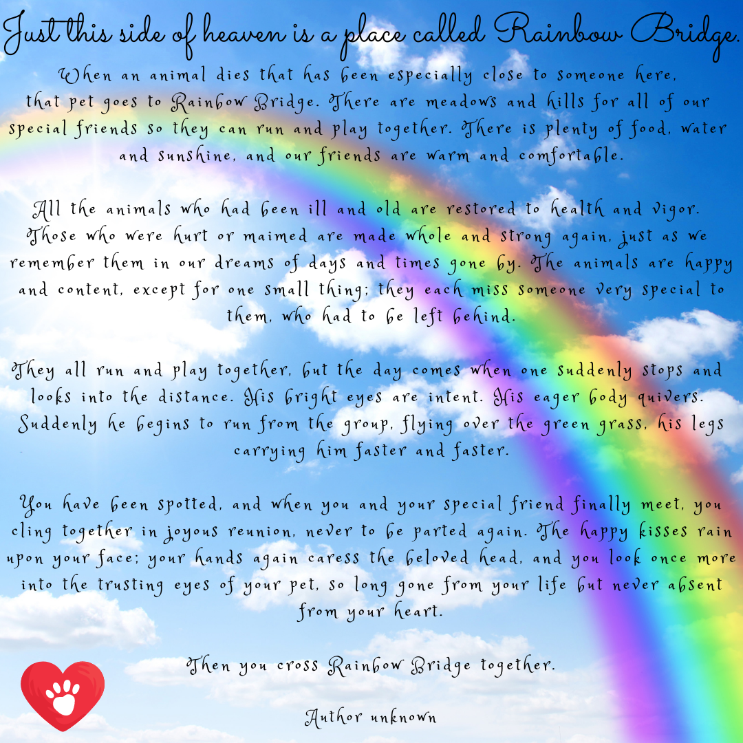 Original Rainbow Bridge Poem Printable Version For Free Humane Goods Blog Original Rainbow 